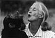 Jane Goodall1934-