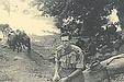 David J. Wallace1914-1944