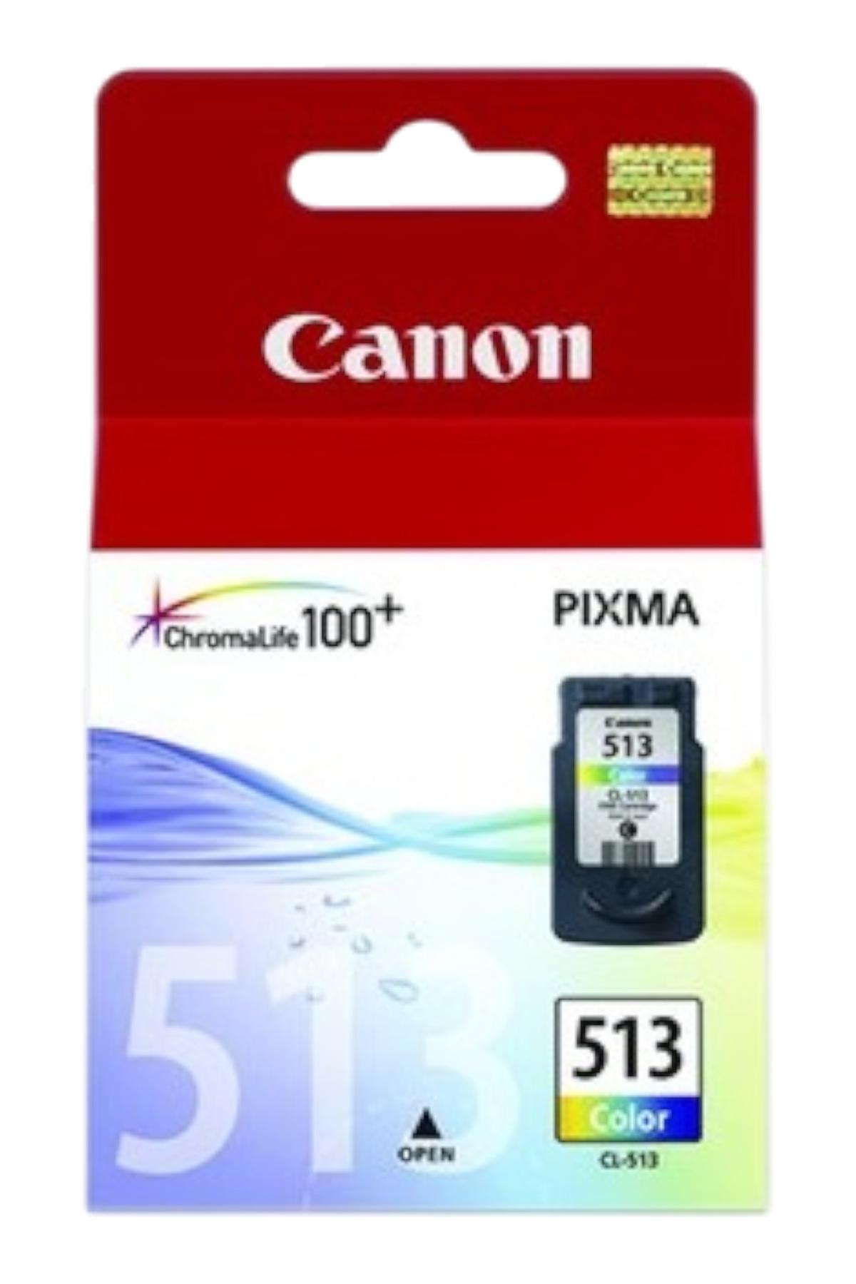 Canon 513 Colour