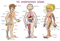 Το ανθρώπινο σώμα (Αφίσα)
