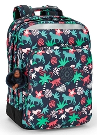 Kipling College Garden Dreamer
