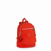 Kipling Clas Challenger Sunbrnt org