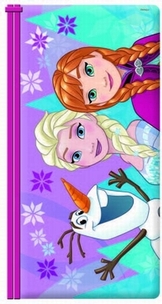 Κασετίνα Frozen