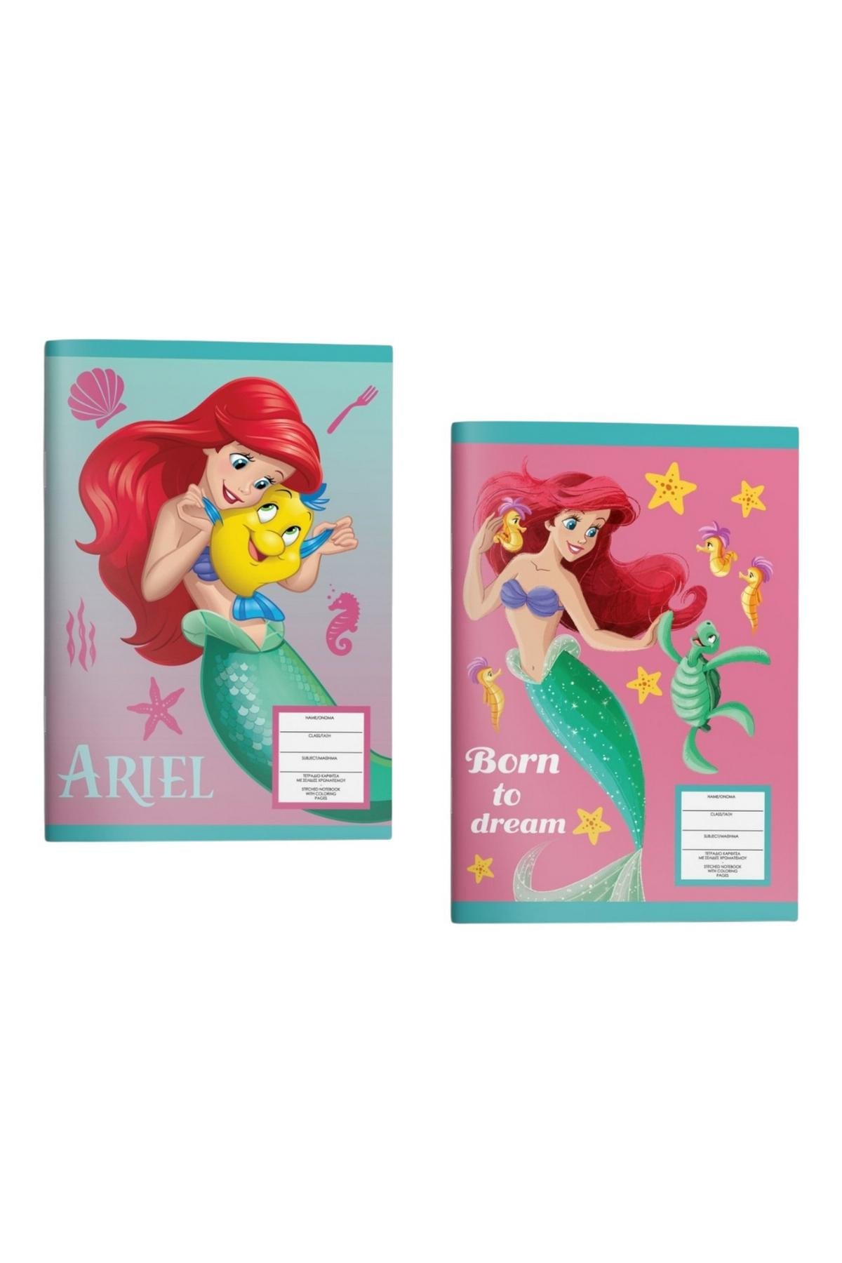 Τετράδιο καρφίτσα - Princess Ariel