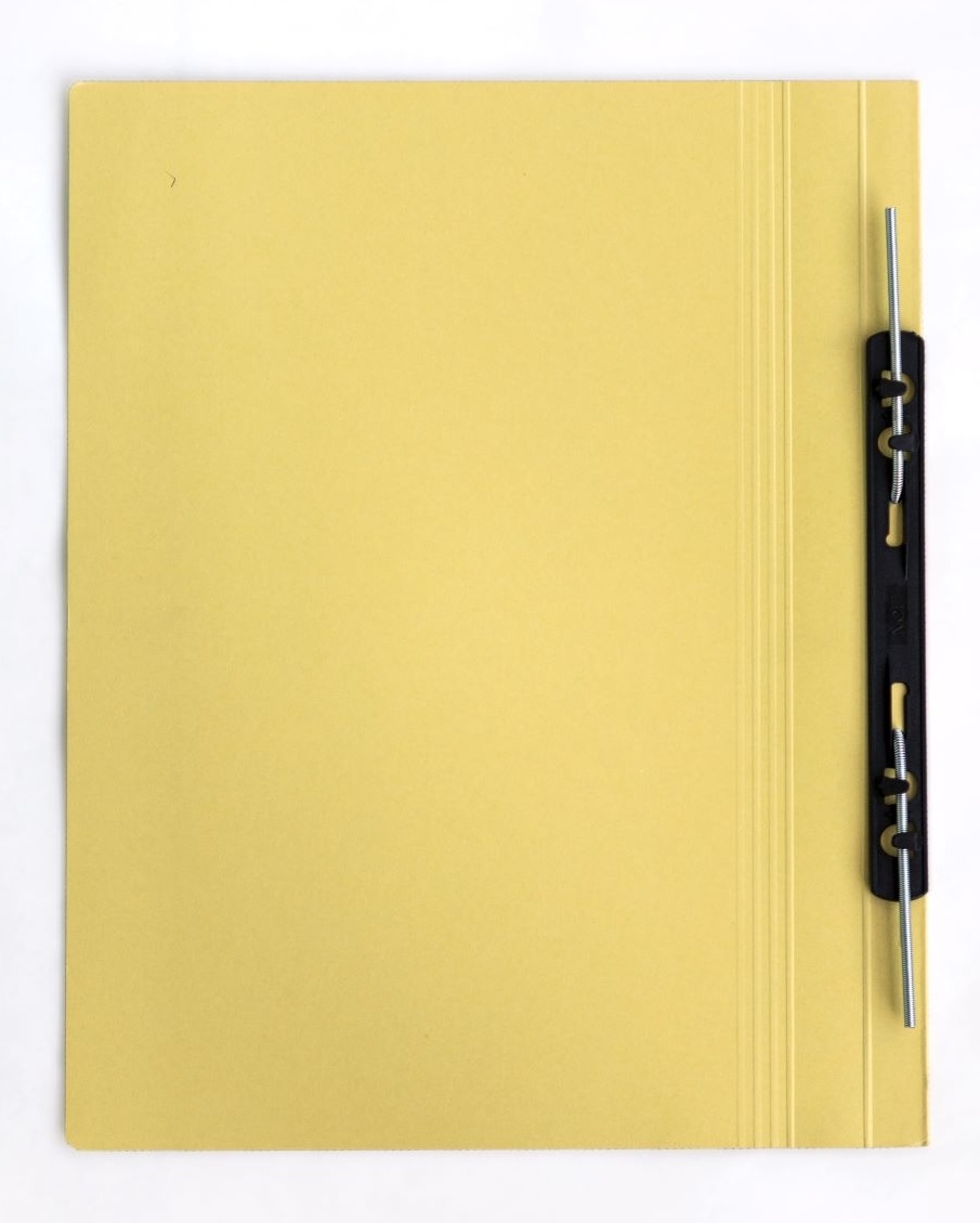 Lion Transfer File Yellow