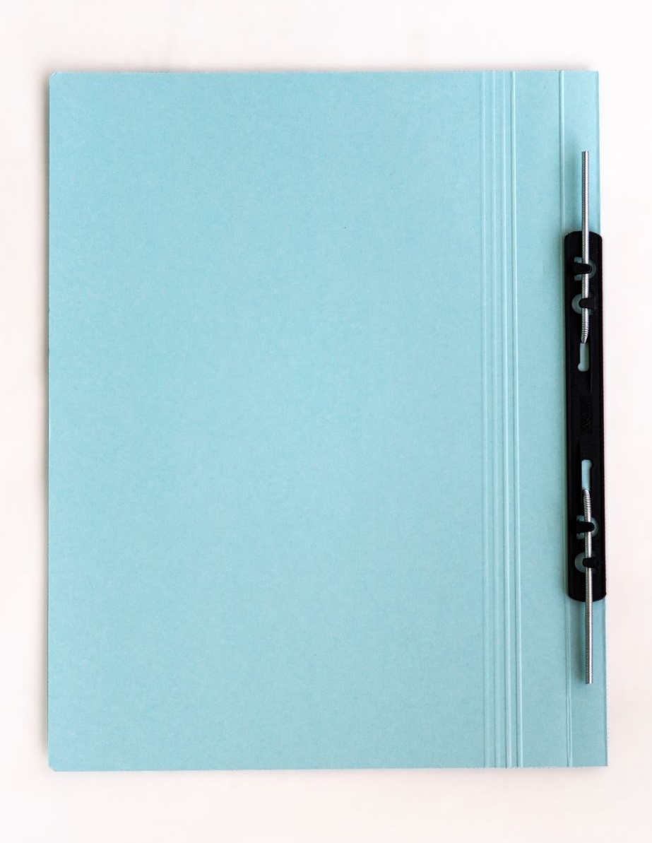 Lion Transfer File Blue