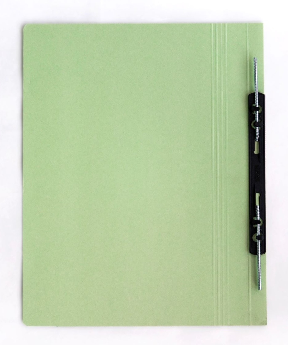 Lion Transfer File Green