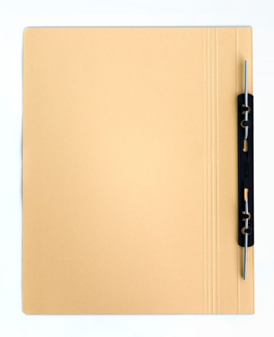 Lion Transfer File Buff