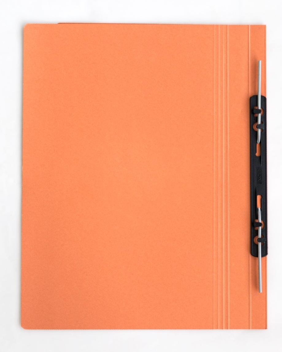 Lion Transfer File Orange