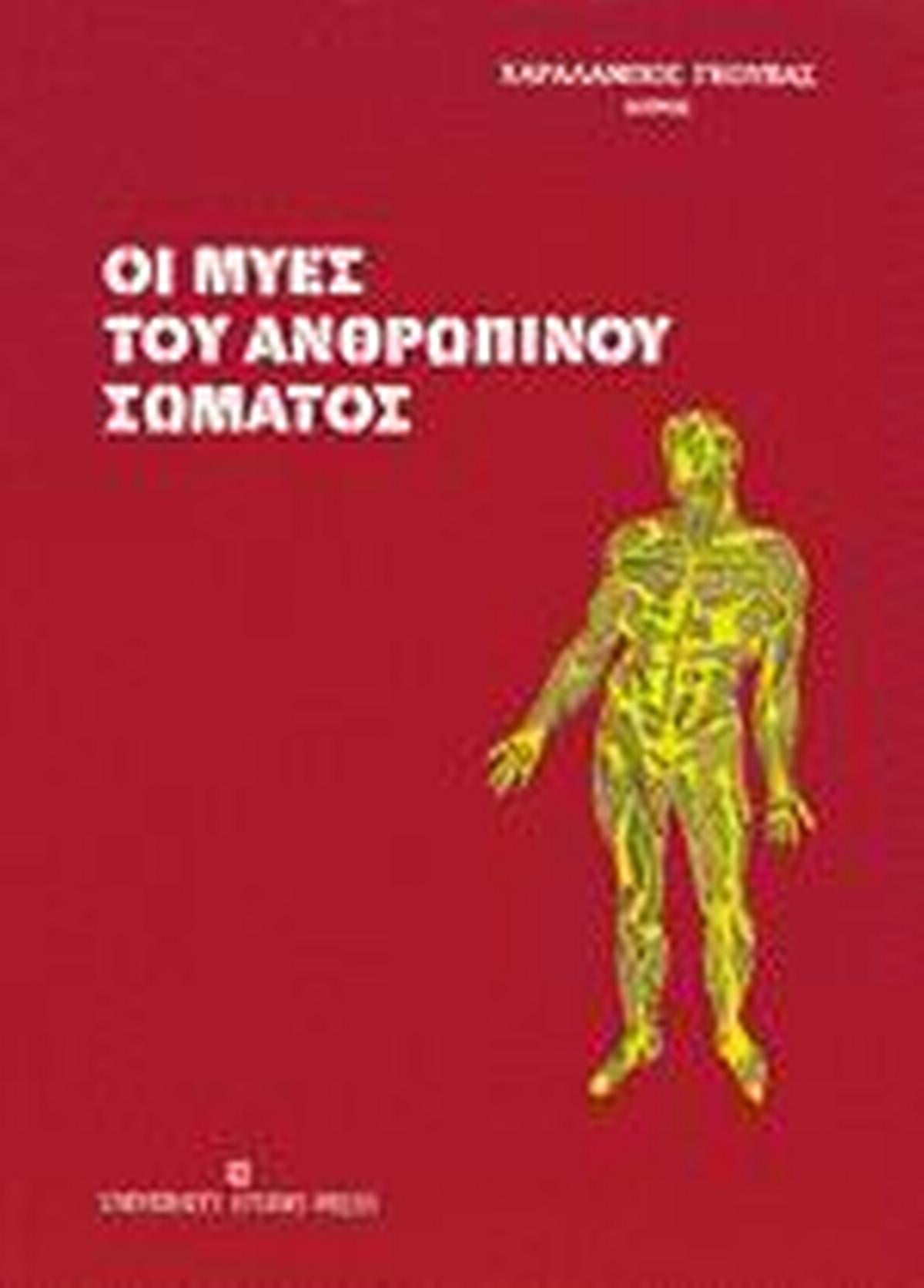 Οι μύες του ανθρώπινου σώματος