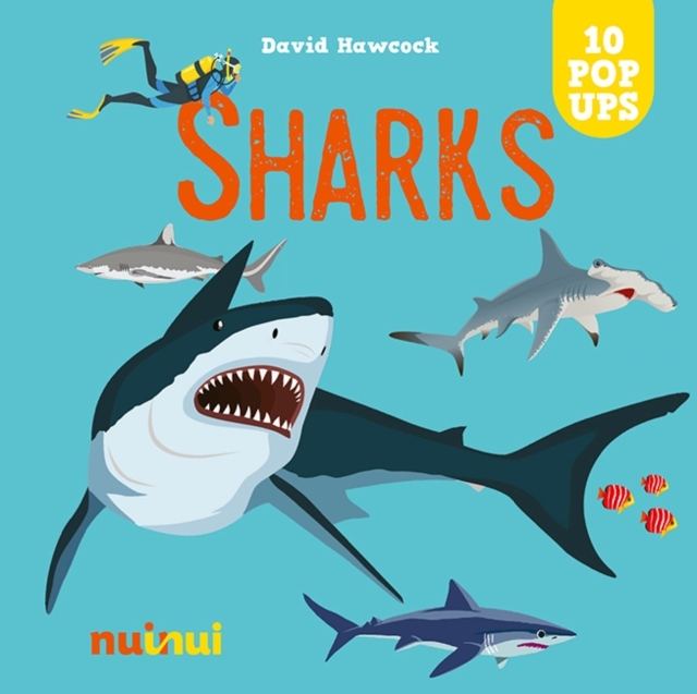 Sharks  (Hardcover)