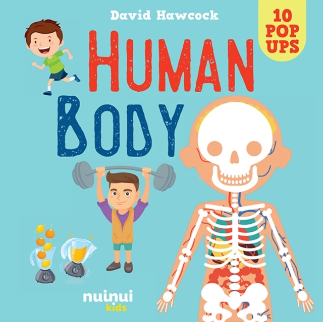 Human Body  (Hardcover)