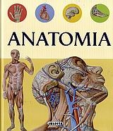 Ανατομία Ανατομία
