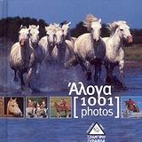 Άλογα [1001 photos]