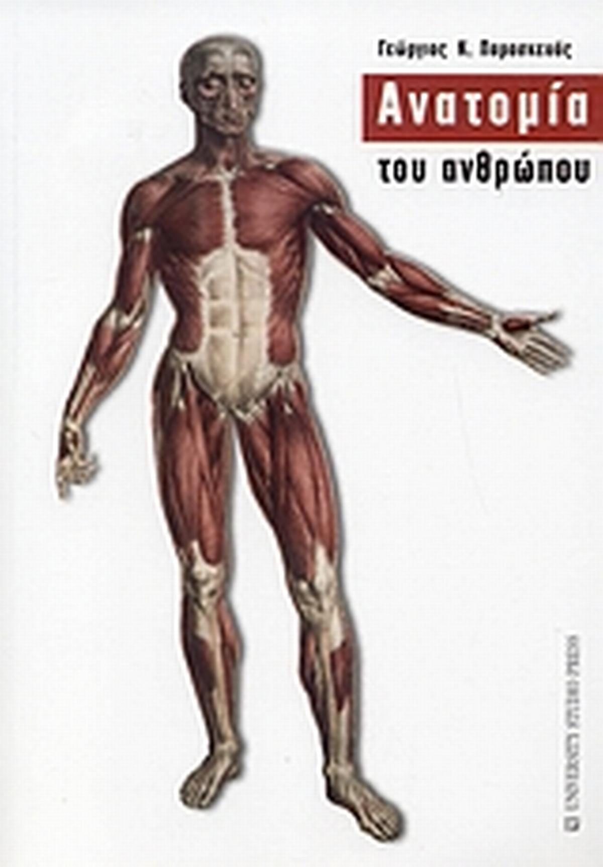 Ανατομία του ανθρώπου Ανατομία του ανθρώπου