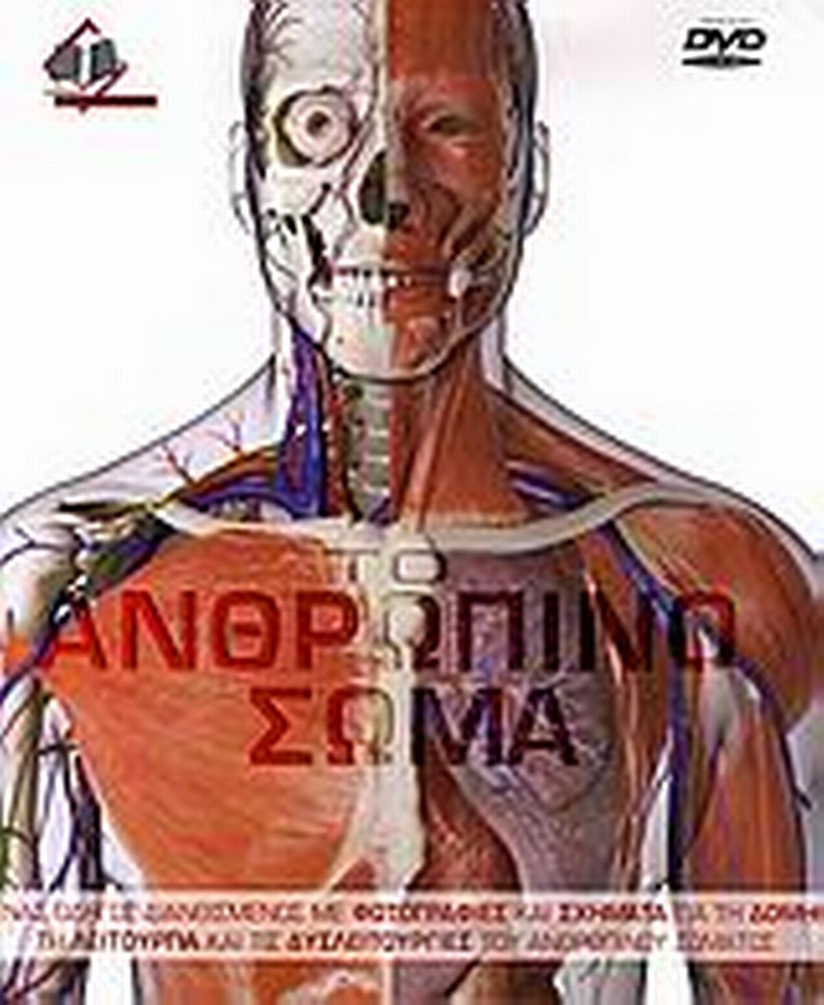 Το ανθρώπινο σώμα