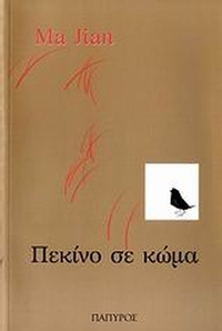 Πεκίνο σε κώμα