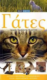 Γάτες Γάτες