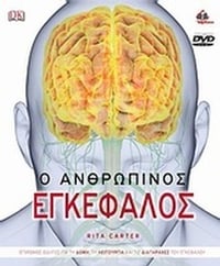 Ο ανθρώπινος εγκέφαλος