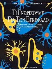 Τι γνωρίζουμε για τον εγκέφαλο