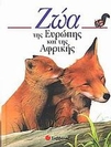 slide-1